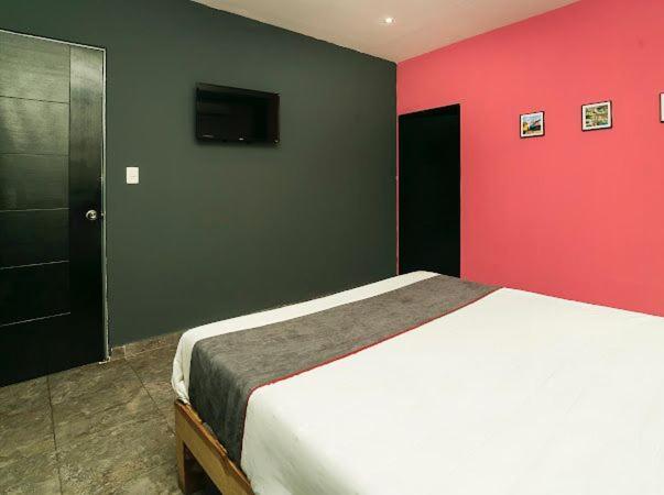 Adhoc Plaza Hotel Monterrei Exterior foto